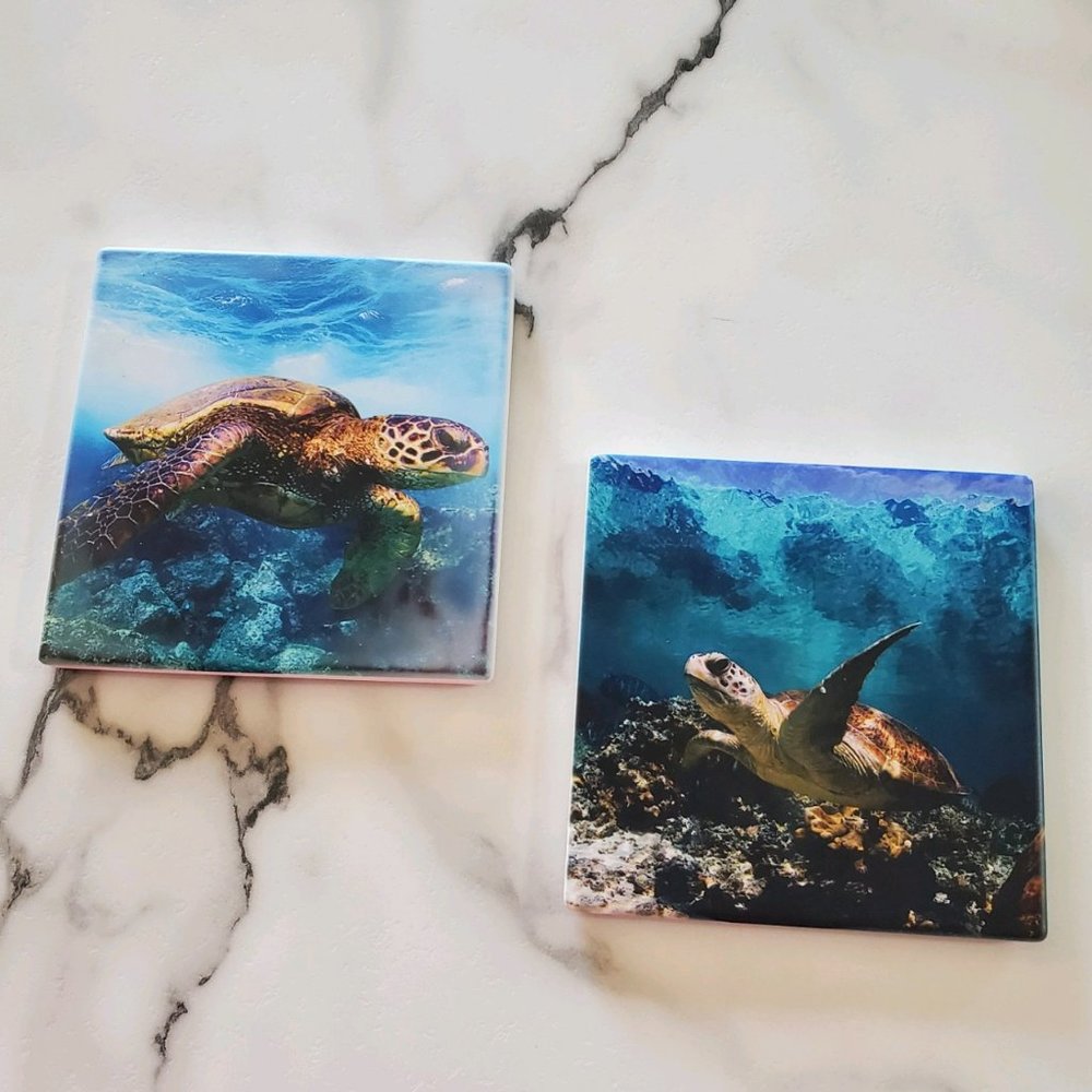 Sea Turtles 2 Pack Sandstone Coasters